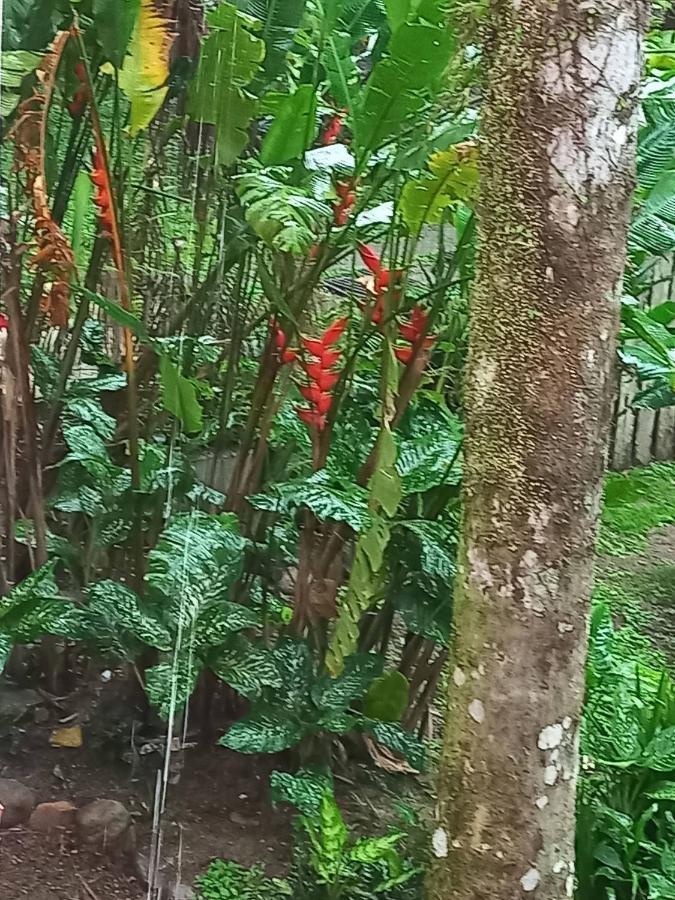 Dos Passaros Guest house *