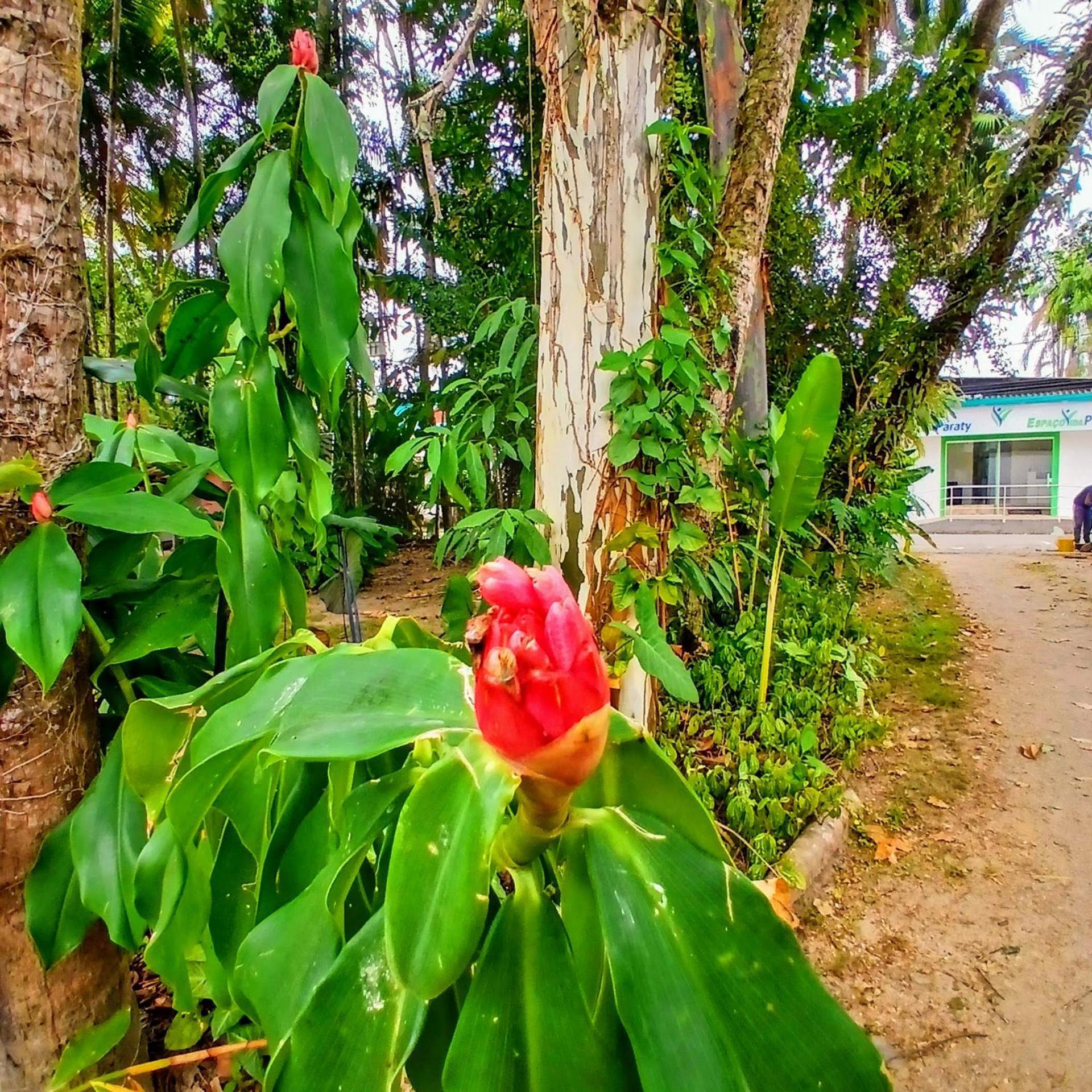 Guest house Dos Passaros